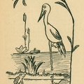 Rimtas Kalpokas. Iliustracija A.Giedriaus - Giedraičio knygai 