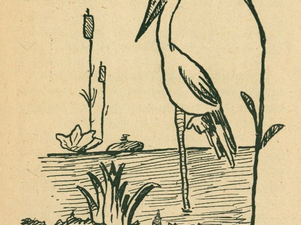 Rimtas Kalpokas. Iliustracija A.Giedriaus - Giedraičio knygai 