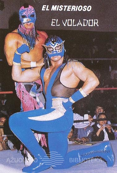 Kaukės naudojamos profesionaliosiose imtynėse