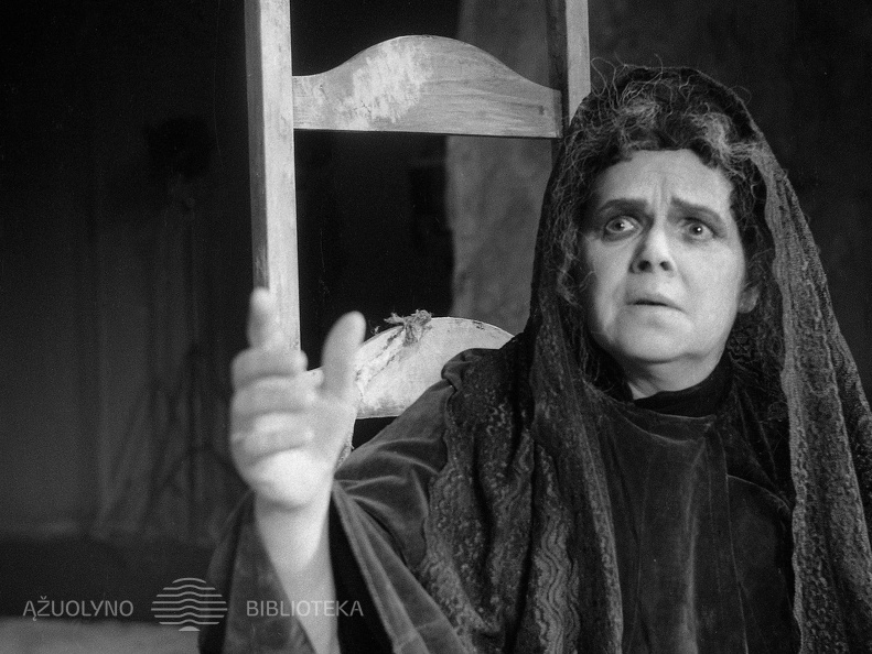 ŠIAULIŲ DRAMOS TEATRAS