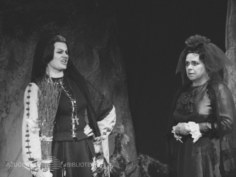 ŠIAULIŲ DRAMOS TEATRAS