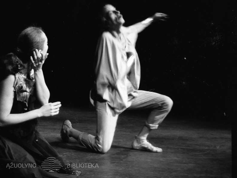 ŠIAULIŲ DRAMOS TEATRAS