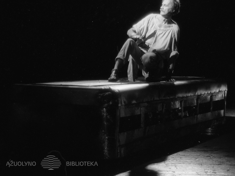 ŠIAULIŲ DRAMOS TEATRAS