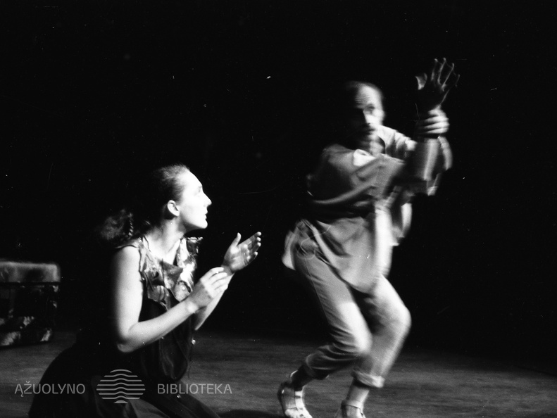 ŠIAULIŲ DRAMOS TEATRAS