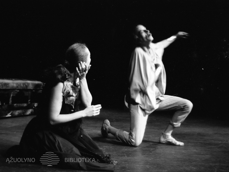 ŠIAULIŲ DRAMOS TEATRAS