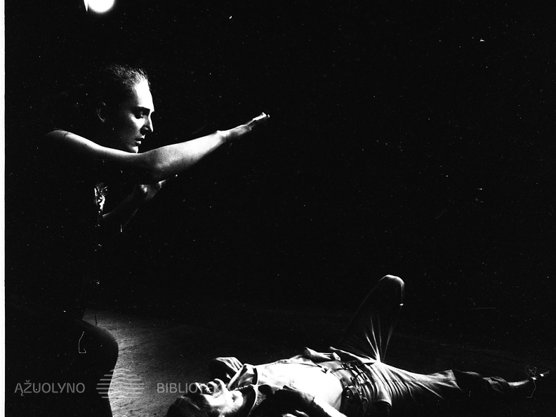 ŠIAULIŲ DRAMOS TEATRAS