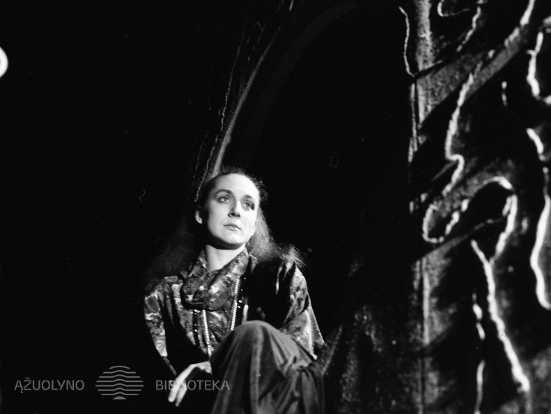 ŠIAULIŲ DRAMOS TEATRAS