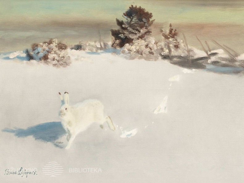 Brunas Liljeforsas. Žieminis kiškis. XIX a. pab. - XX a. pr.