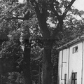 Ąžuolyno parkas prie sporto halės. 1967 m. [Iš KAVB fondų]