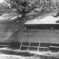 Pramprekybos baldų sandėliai prie stadiono. 1967 m. [Iš KAVB fondų]