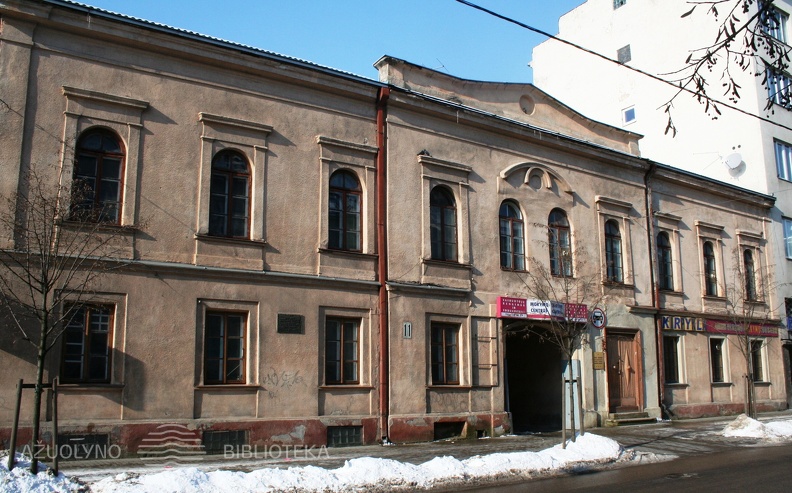 Maironio_g_11_2009.jpg