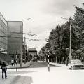 Laisvės alėja ties mokykla