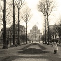 Laisvės alėja