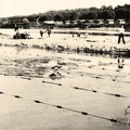 Nemuno salos baseine. XX a. 4 deš.
