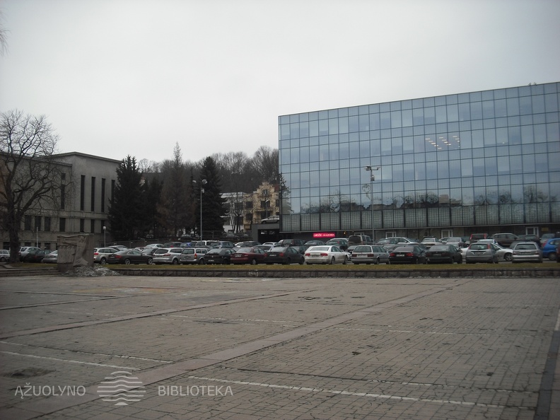 Vienybės aikštė. 2014 m.