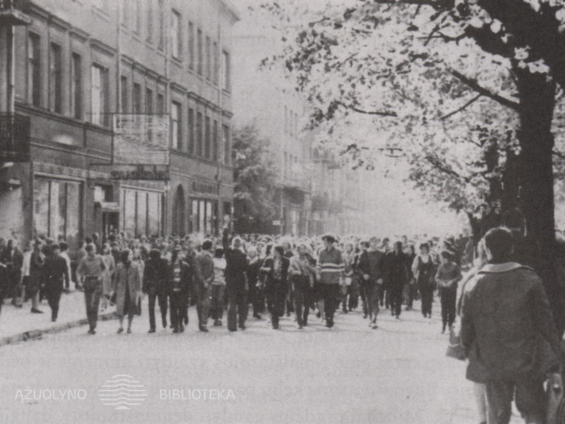 Protesto demonstracija Laisvės al.