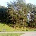 Kalneliai