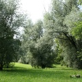 Vaizdingas Gričiupio slėnis