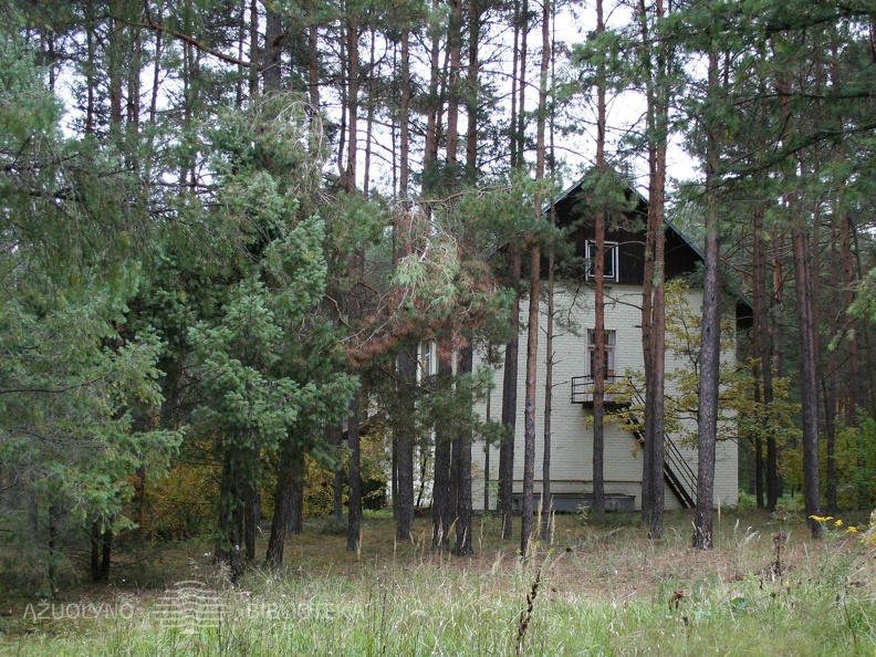 Romainių miško parkas