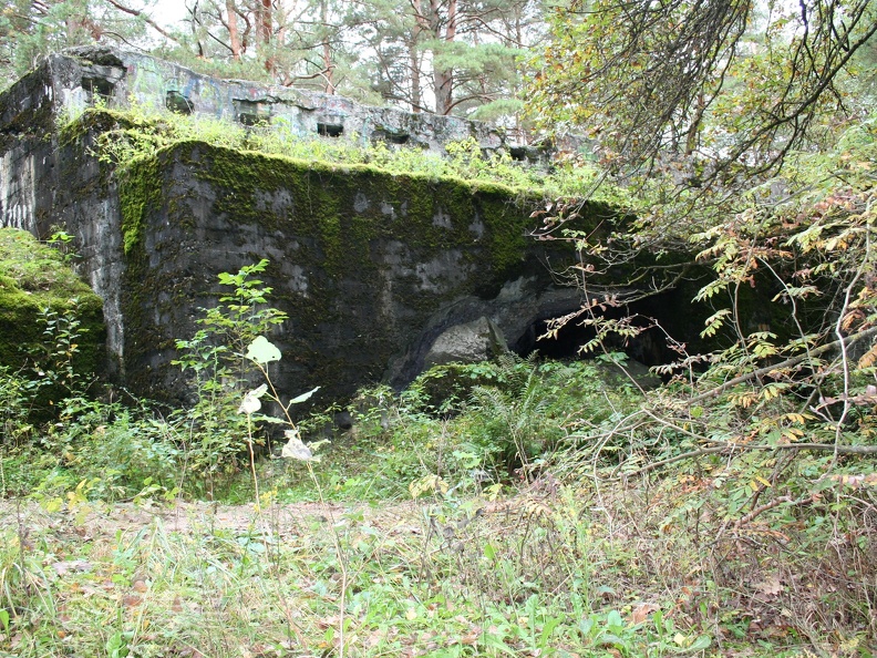 Romainių fortas (X fortas)