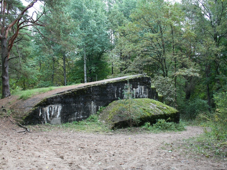 Romainių fortas (X fortas)