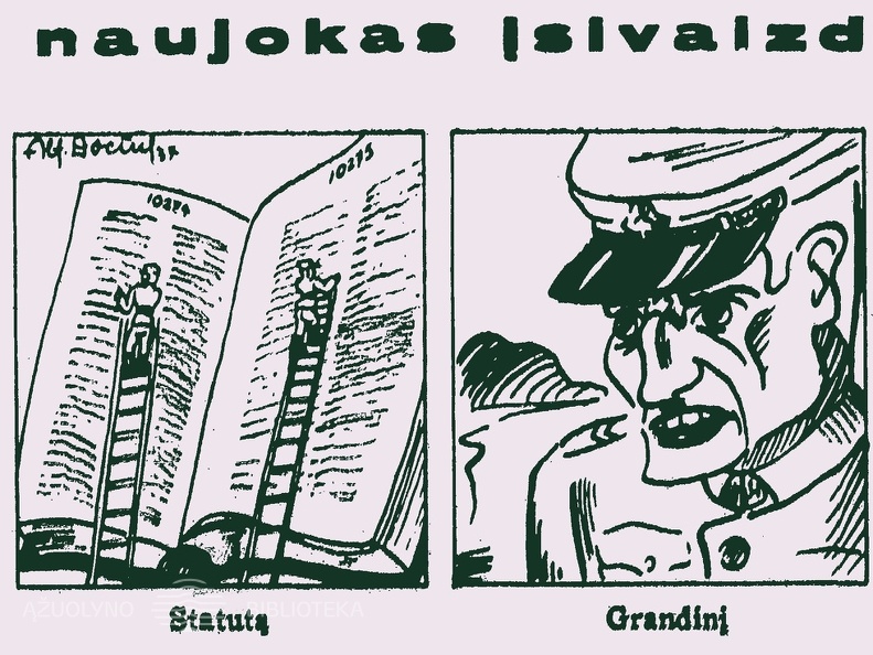 Kaip naujokas įsivaizdavo...