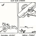 Kaip kam atrodo