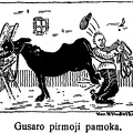 Gusaro pirmoji pamoka