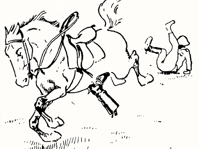 Malonus pasijodinėjimas