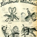 Kavaleristo malonumai