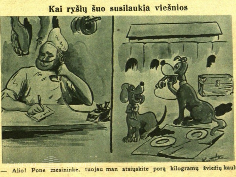 Kai ryšių šuo susilaukia viešnios