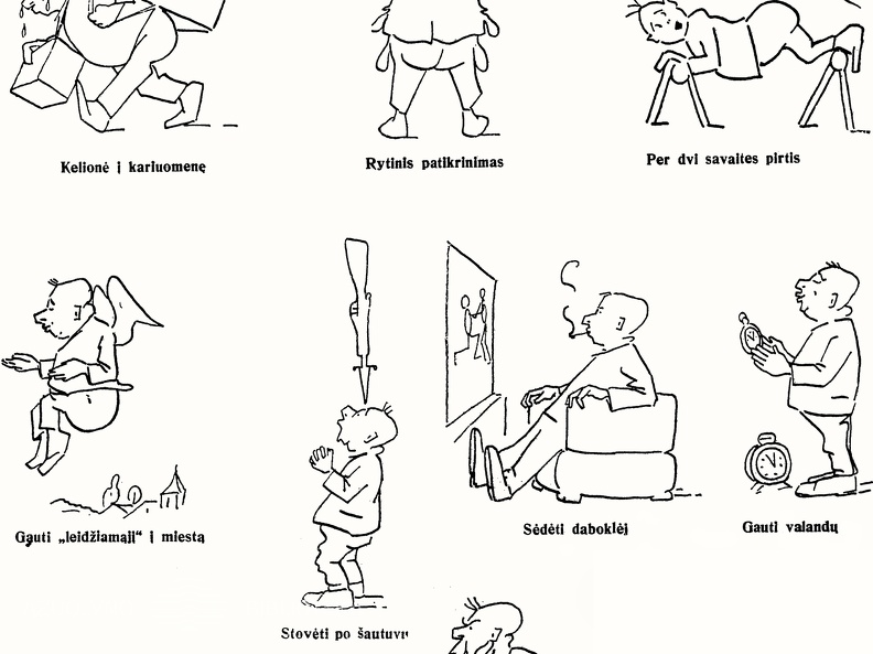 Kaip kai kurie naujokai įsivaizduoja
