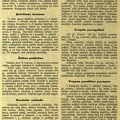 Kalėdinių valgių receptai