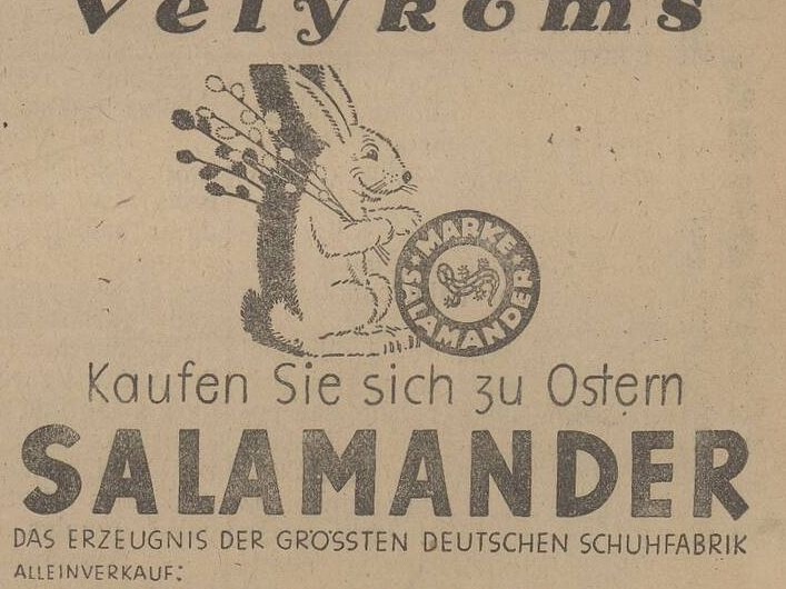 Batai Salamander
