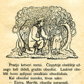 Senio pasakos / Pr. Mašiotas; [iliustravo A. Galdikas].
