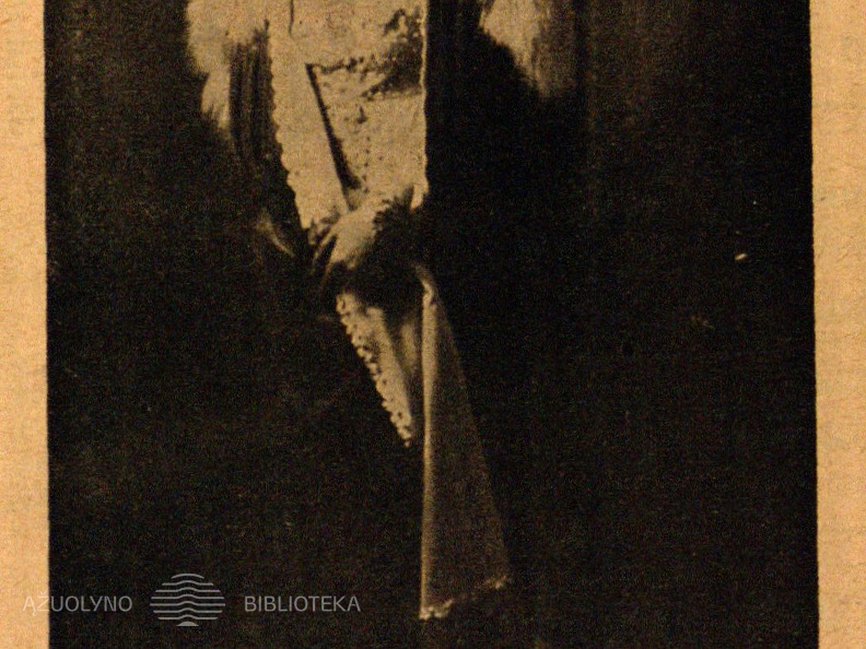 M. Rakauskaitė – Tosca. V. Operos solistė: Foto J. Barisos ir S. Antonovo