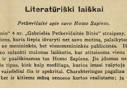 Literatūriški laiškai: Petkevičaitė apie savo Homo Sapiens