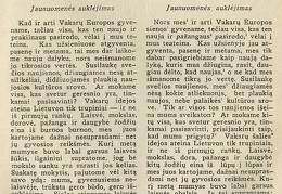 Stiliaus kultūra / J. Ambrazevičius // Židinys.