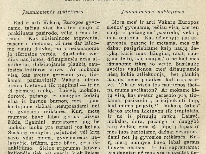 Stiliaus kultūra / J. Ambrazevičius // Židinys.