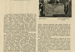 Idėjinės ir formalinės linkmės naujojoj lietuvių literatūroje