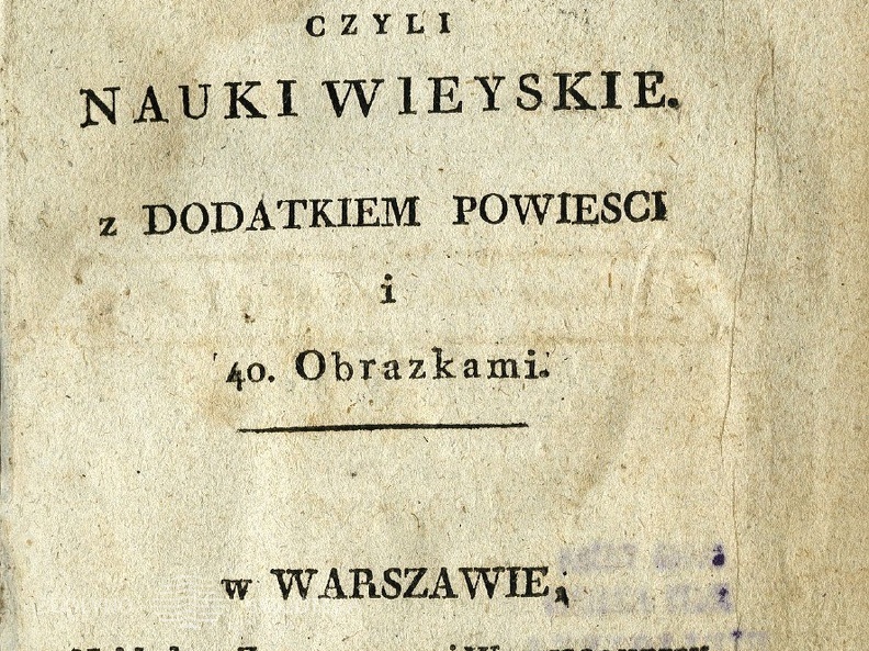 Pielgrzym w Dobromilu / Izabela Czartoryska. – Warszawa