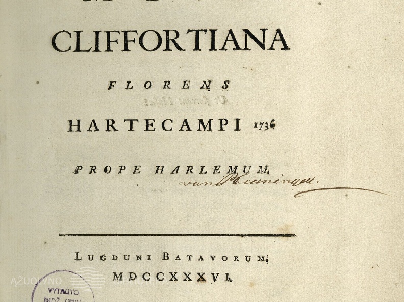 Musa Clifortiana Florens Hartecampi 1736 Prope Harlemum