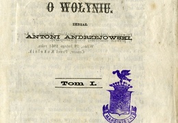 Ramoty starego detiuka o Wolyniu / Antoni Andrzejowski