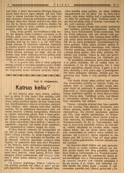13. voldemaras-59a-1923-katruo-keliu-avoldemaras-vairas-nr6-p6-2800-2000-100.jpg