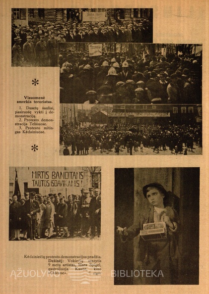 29. voldemaras-68b-1929-visuomene-smerkia-teroristus-pasikesinimas-iliustruota-apzvalga-nr19-p2-2800-2000-100.jpg