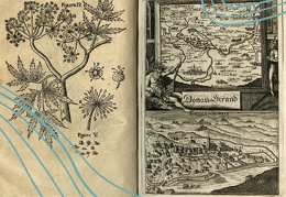 Šveicarų gydytojo, patologo ir farmakologo Johanno Jakobo Wepferio veikalas „Historia cicutae aquaticae et noxae“