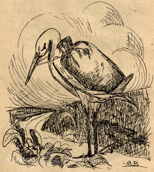 06a_Kodel_gandro_ant_nugaros_juodas_lopinys.jpg