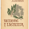 Knygos viršelis. „Kelionė į Lietuvą“