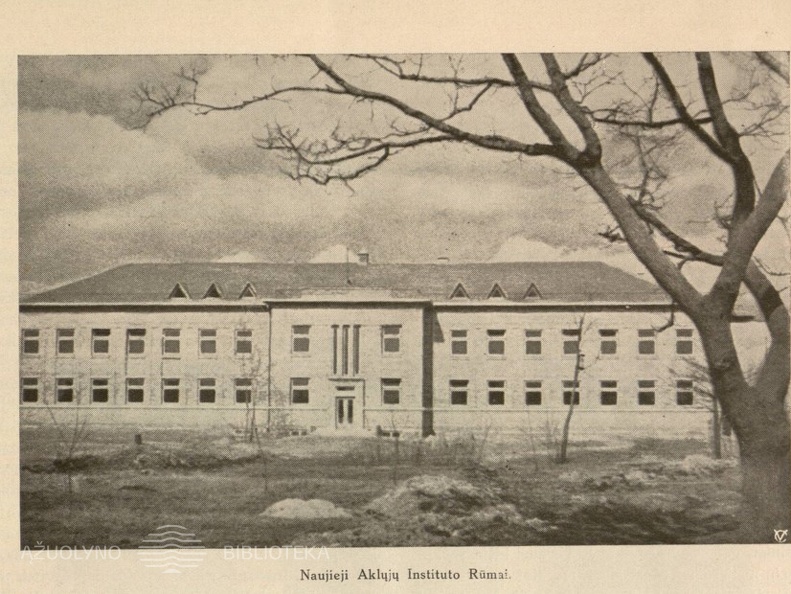 Naujosios Lietuvos Aklųjų Instituto patalpos