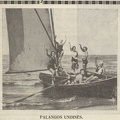 „Palangos undinės“. Sekmadienis, 1933, nr. 33, p. 2.